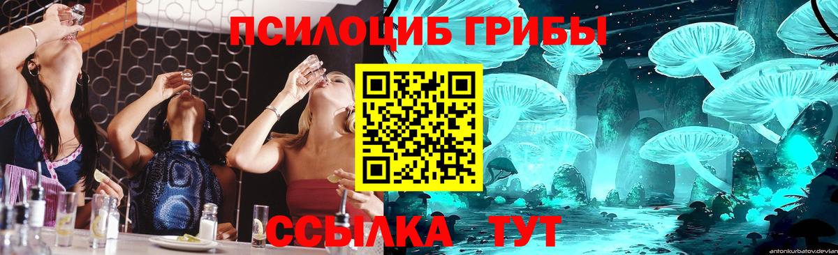 Верхняя Салда  Галлюциногенные грибы MAGIC MUSHROOMS  Вход с VPN 